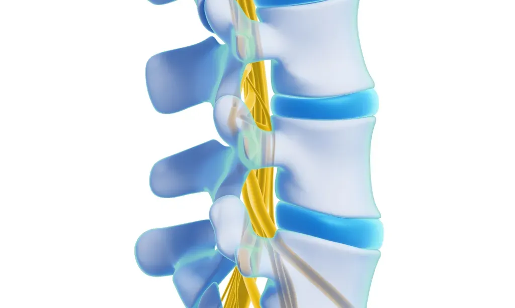 Max Steuer, MD | Neurosurgeons & Spine Specialists located in Atlanta, GA
