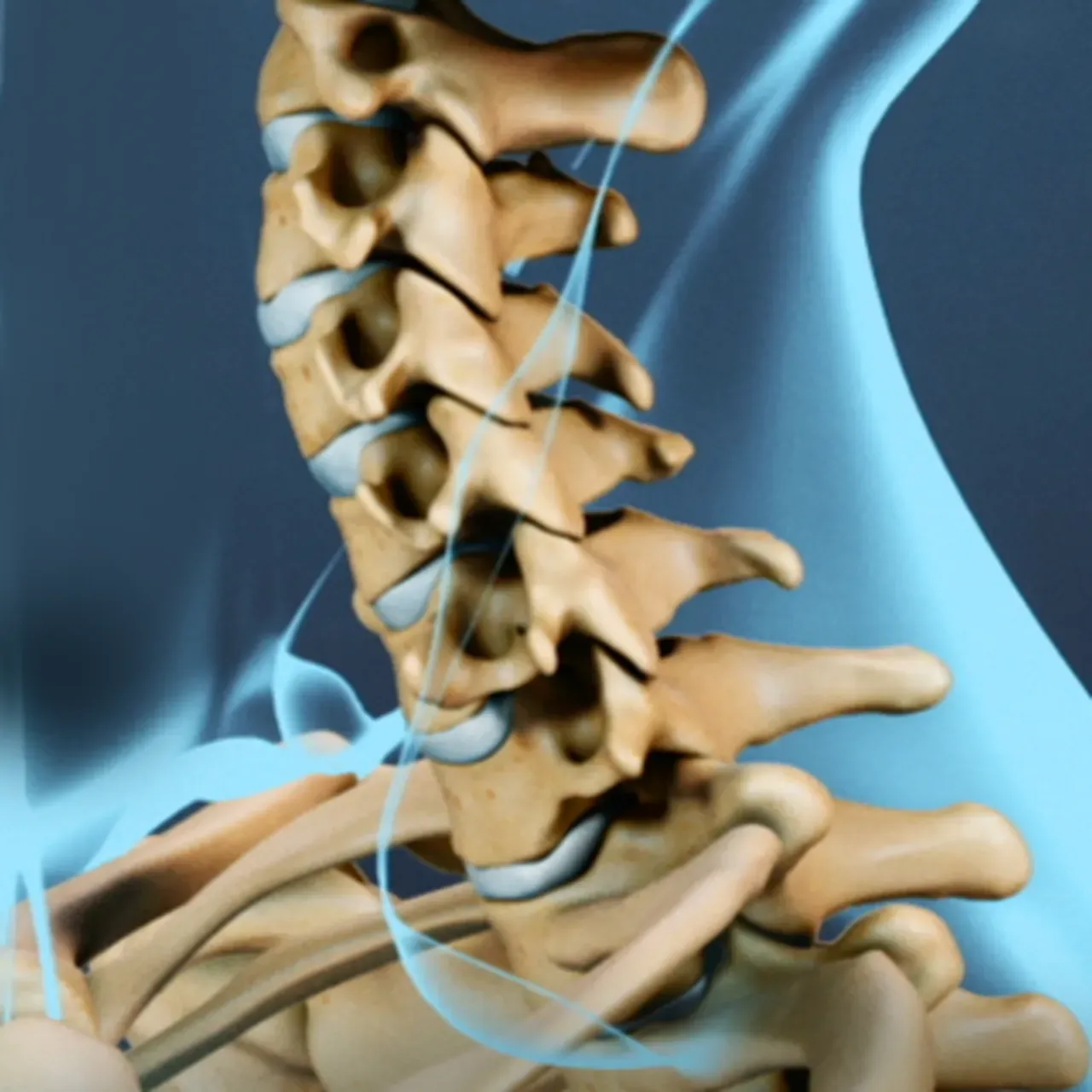 Spine Care | Neurology, Neurosurgery, Interventional Pain Management ...