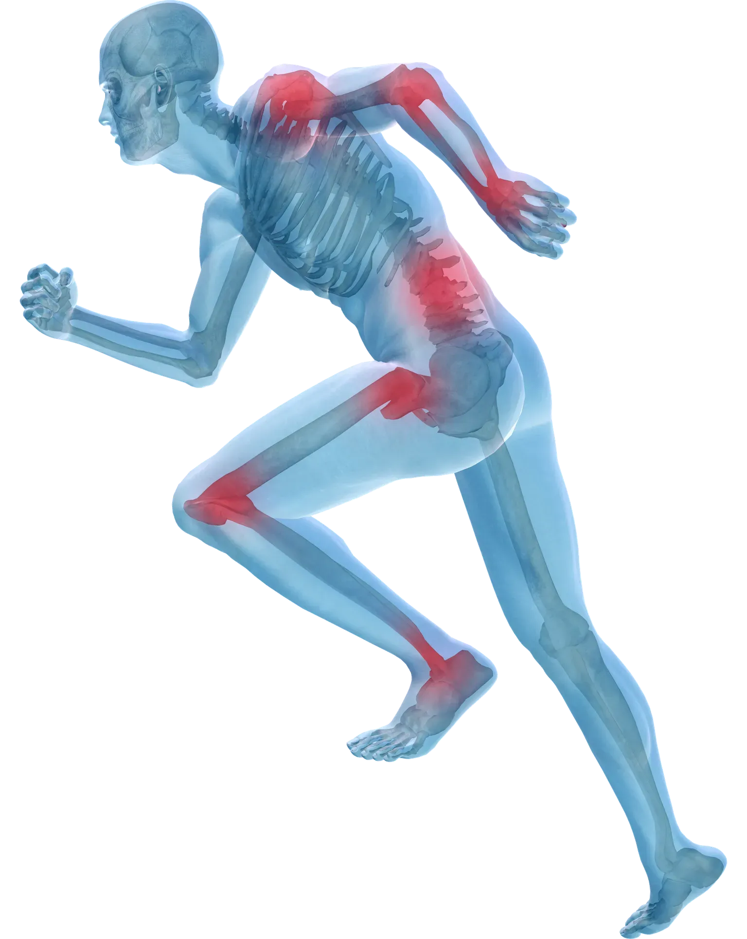 Injury Information | Orthopedic Surgeons, Sports Medicine & Physical ...