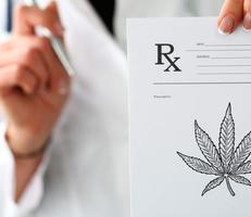 Medical Marijuana prescriptions are available for GYN CANCERS & Pelvic Pain conditions
