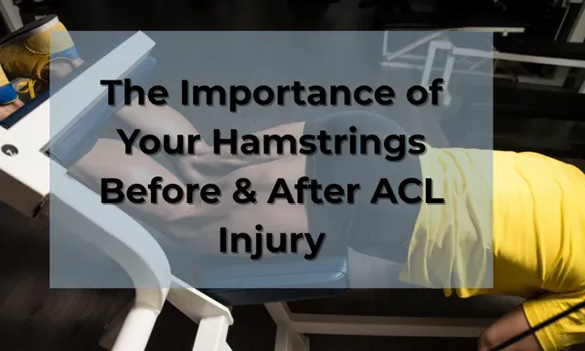 The Importance of Your Hamstrings Before & After an ACL Injury ...