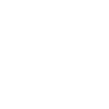 TikTok icon