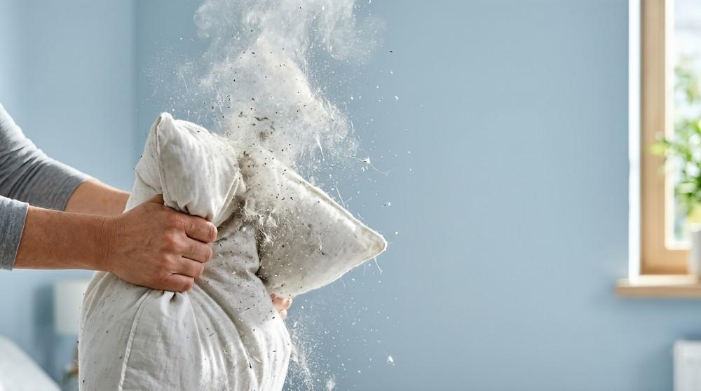 Hidden Household Allergens: Is Your Bedroom Triggering Your Symptoms?