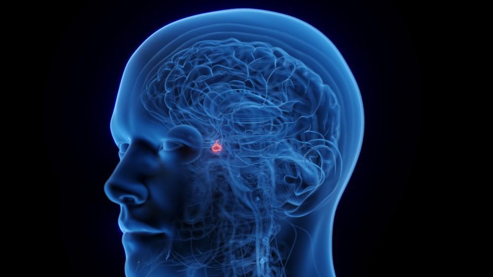 Unexplained Fatigue, Mood Shifts, and Weight Changes? Why Your Pituitary Gland Might Be the Cause