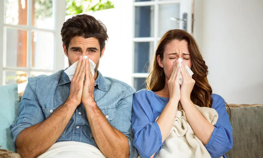 Flu