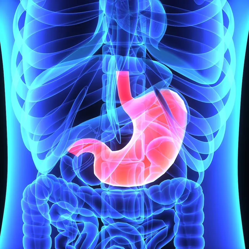 Esophageal Surgery