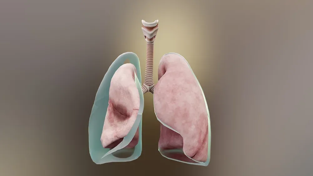 Pneumothorax Surgery
