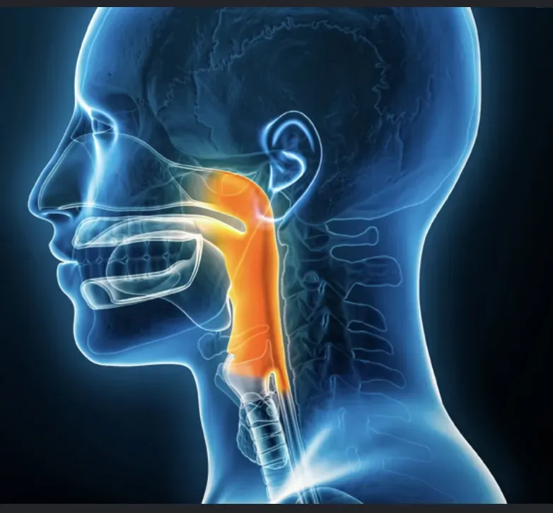 Tracheal/Bronchial Disorders