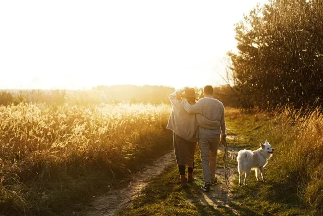 The Five Pillars of Health