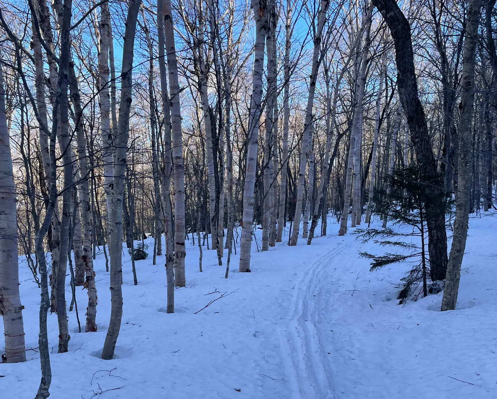 snow in vermont