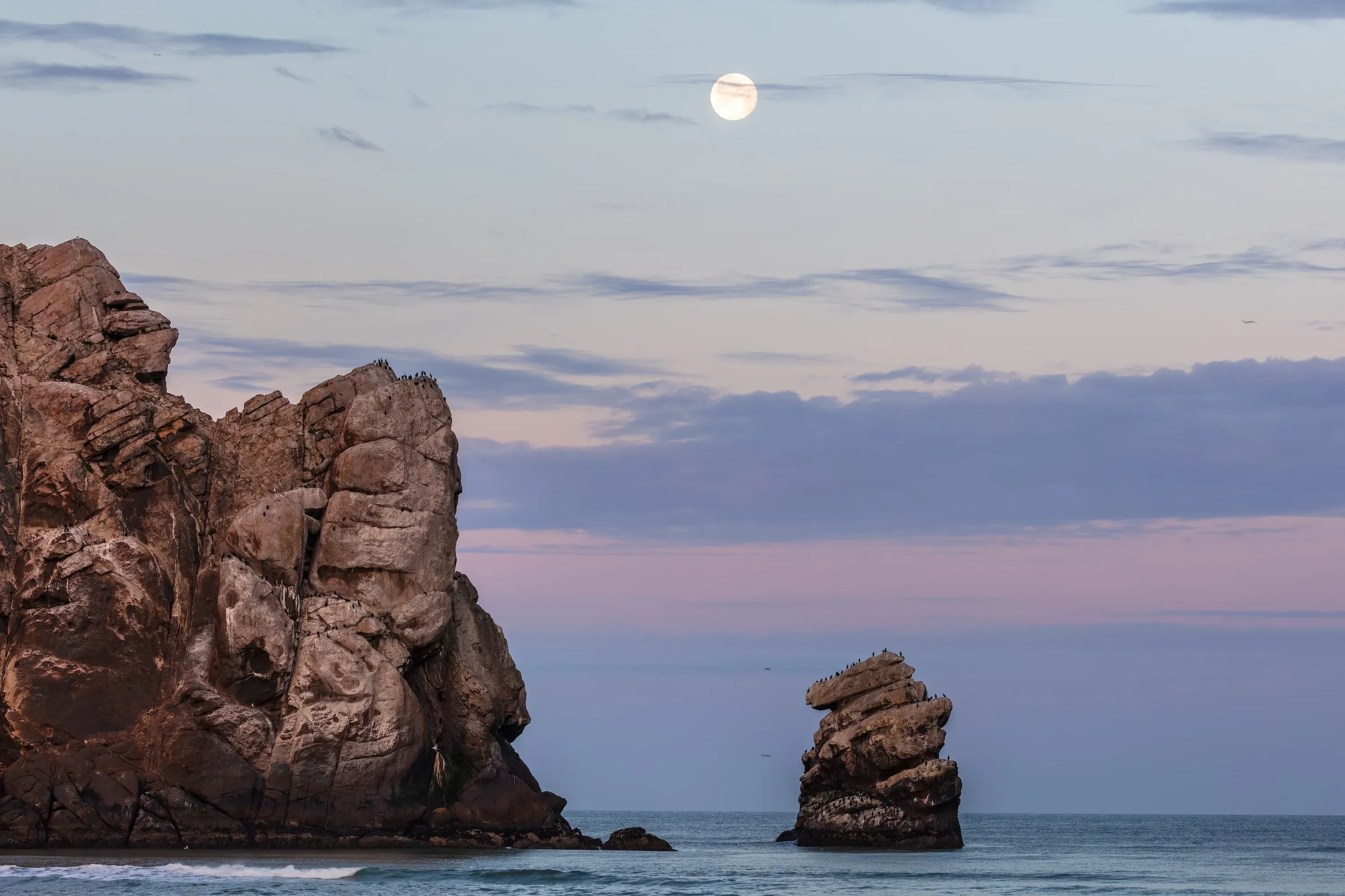 morro rock