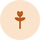 bloating icon