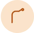 Colonoscopy icon